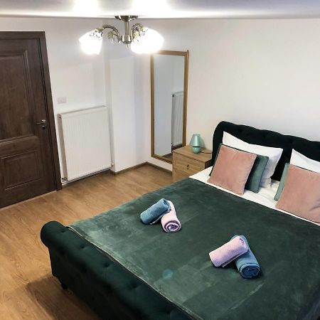Ultra Central Apartment, Free Parking Oradea - Stray Cats Zewnętrze zdjęcie
