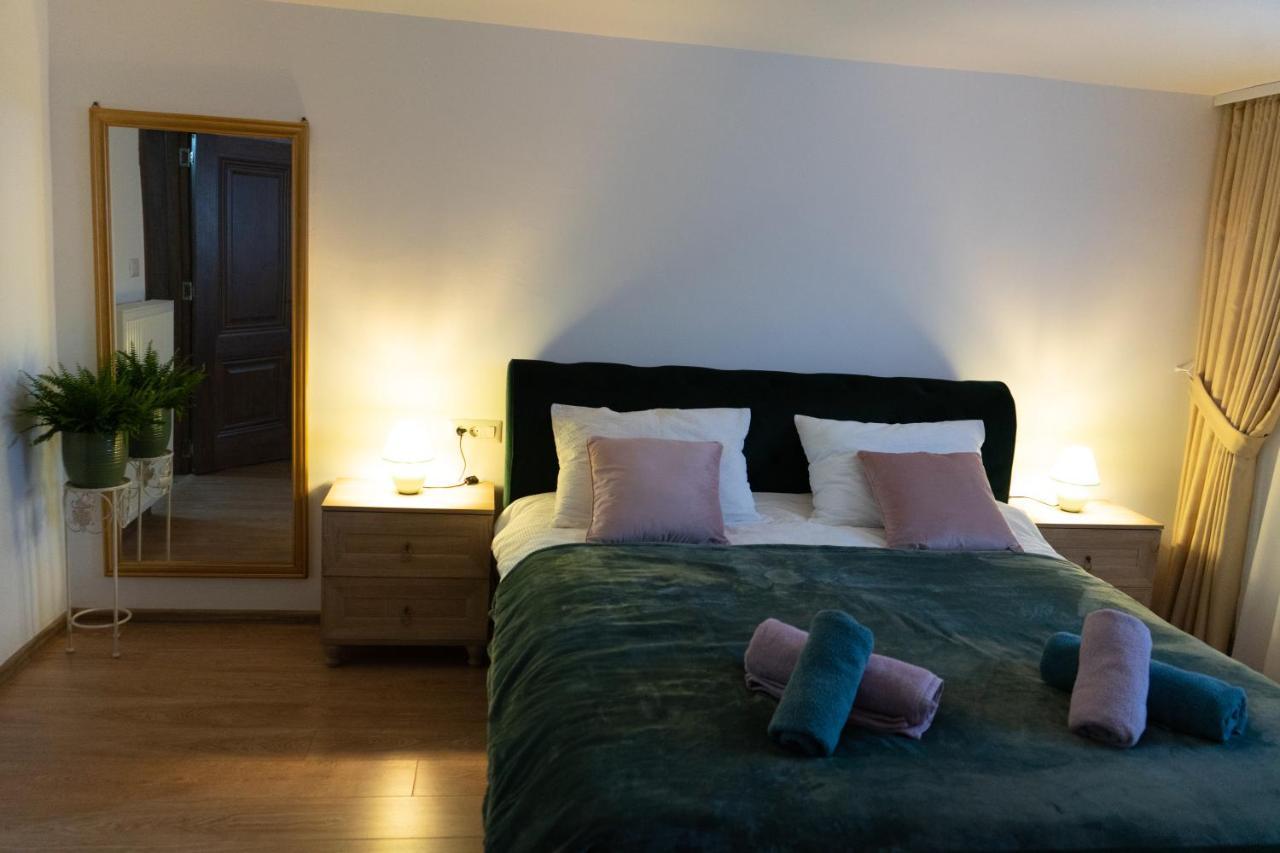 Ultra Central Apartment, Free Parking Oradea - Stray Cats Zewnętrze zdjęcie