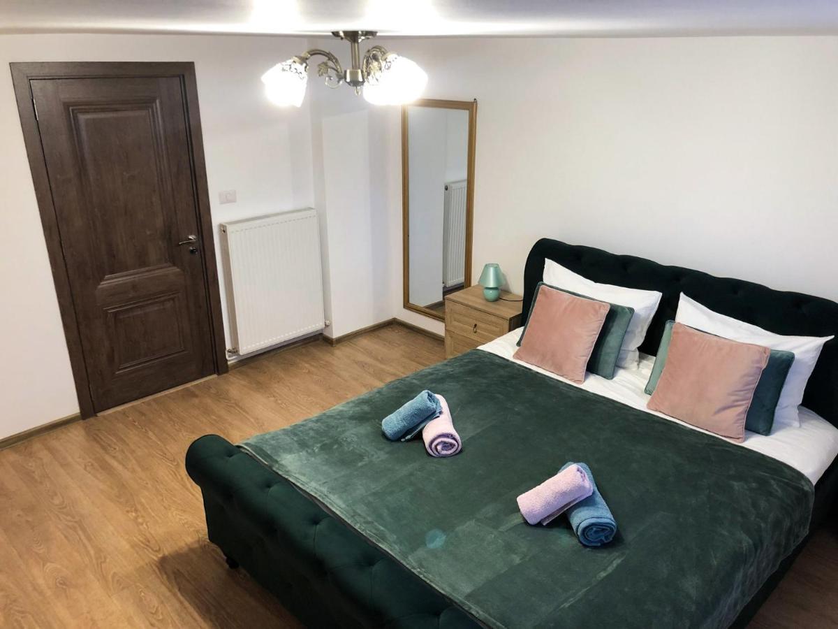 Ultra Central Apartment, Free Parking Oradea - Stray Cats Zewnętrze zdjęcie